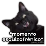 Gatos WhatsApp sticker