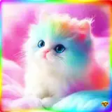 Figurinha de Gatos para WhatsApp