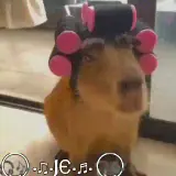 Figurinha de Cachorros para WhatsApp