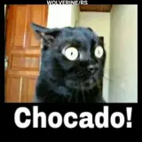 Figurinha de Memes para WhatsApp