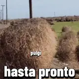 Figurinha de Memes para WhatsApp