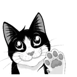 Sticker de Gatos para WhatsApp