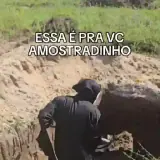 Memes Brasileiros WhatsApp sticker