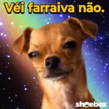 Figurinha de Memes Brasileiros para WhatsApp