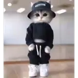 Sticker de Animais para WhatsApp