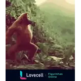 Sticker para WhatsApp