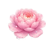 Figurinha para WhatsApp