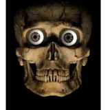 Figurinha de reação para WhatsApp