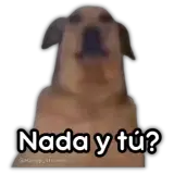 Memes WhatsApp sticker