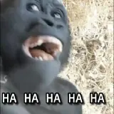 Figurinha de Memes para WhatsApp