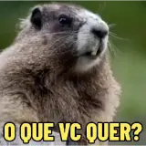Figurinha de Memes Brasileiros para WhatsApp