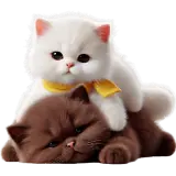 Figurinha de Gatos para WhatsApp