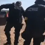 Sticker de reação para WhatsApp