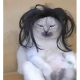 Figurinha para WhatsApp