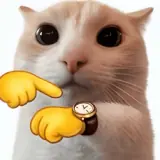 Figurinha de Gatos para WhatsApp