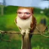 Figurinha para WhatsApp