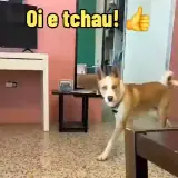 Figurinha de Saudações para WhatsApp