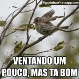 Figurinha para WhatsApp
