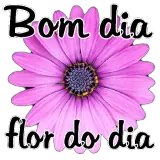 Figurinha para WhatsApp