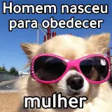 Figurinha de Memes Brasileiros para WhatsApp