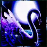 Sticker para WhatsApp