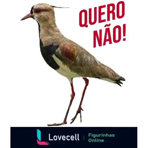 Coletadas sticker 32347