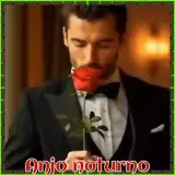 Figurinha de Amor para WhatsApp