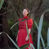 Figurinha para WhatsApp