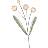 Figurinha para WhatsApp