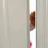 Sticker para WhatsApp