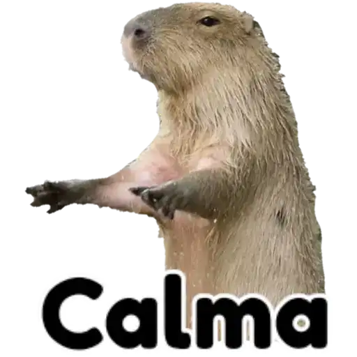 Coletadas sticker 37250