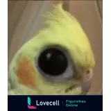 Sticker para WhatsApp