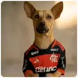 Figurinha de Cachorros para WhatsApp