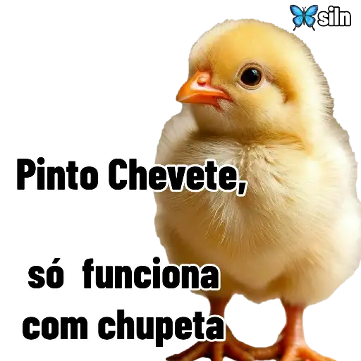 Coletadas sticker 11580