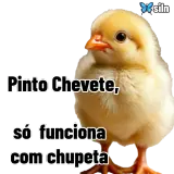 Figurinha de Memes Brasileiros para WhatsApp