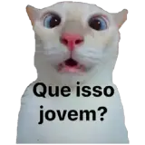 Figurinha de Gatos para WhatsApp