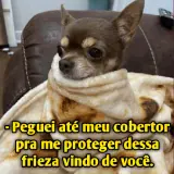 Figurinha para WhatsApp