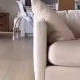 Figurinha para WhatsApp