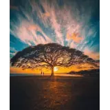 Figurinha para WhatsApp