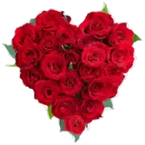 Amor WhatsApp sticker