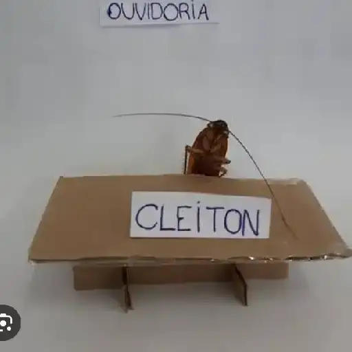 Coletadas sticker 31838