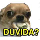 Figurinha de Memes para WhatsApp