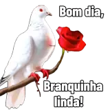 Figurinha de Saudações para WhatsApp