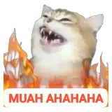 Figurinha de Memes para WhatsApp