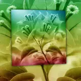 Figurinha para WhatsApp