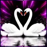 Sticker para WhatsApp