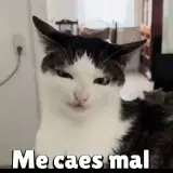 Sticker de Memes para WhatsApp