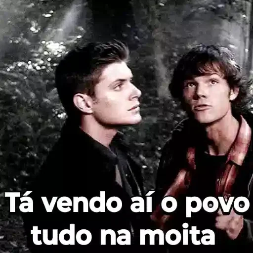 Figurinha para WhatsApp — Memes Brasileiros