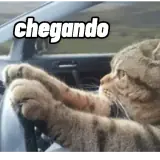 Figurinha de Memes para WhatsApp