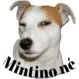 Cachorros WhatsApp sticker